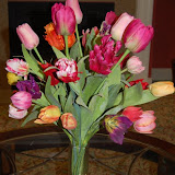 DSC_1168.JPG