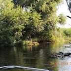DSCN4594.JPG