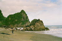 NZD2-12_PA&JK_95080023.JPG