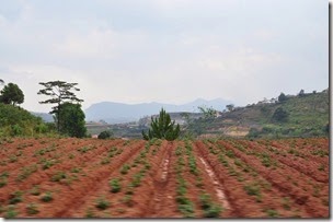 Vietnam Dalat 140313_0096