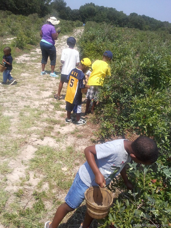 [berrypicking1%255B8%255D.jpg]
