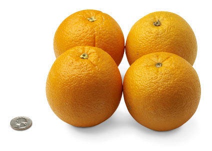 [31-oranges%255B1%255D%255B3%255D.jpg]