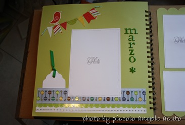 IMG_3679 IMG_3679