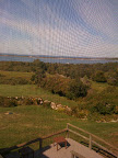 Here's the view through the window screen in my bedroom upstairs.