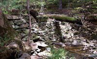 Pott's Branch Dam Photo