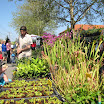 viragvasar_2010_24.jpg