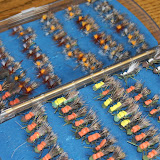 flies