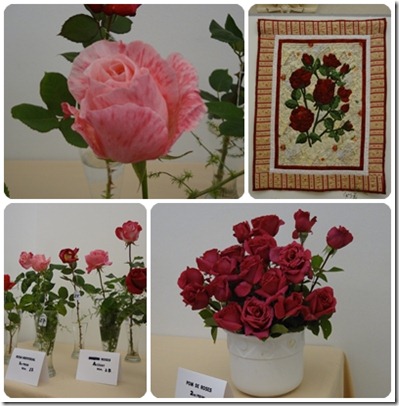 rosa ganadora rosa ganadora