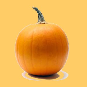 [pumpkin1%255B5%255D.jpg]
