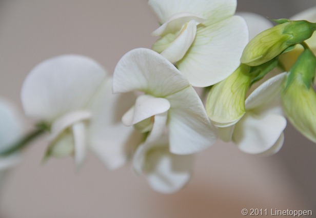 017