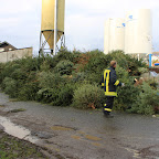 07.01.2012 Weihnachtsbaum Sammelaktion