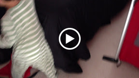 IMG_1632.MOV