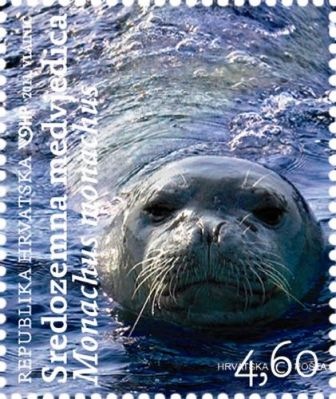 [Mediterranean%2520Monk%2520Seal%255B2%255D.jpg]