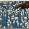 Bosque-7603.jpg