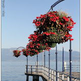 Morges