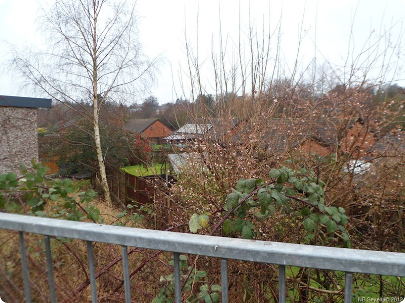 SAM_0007 Under Smallbrook road through these back gardens SAM_0007 Under Smallbrook road through these back gardens