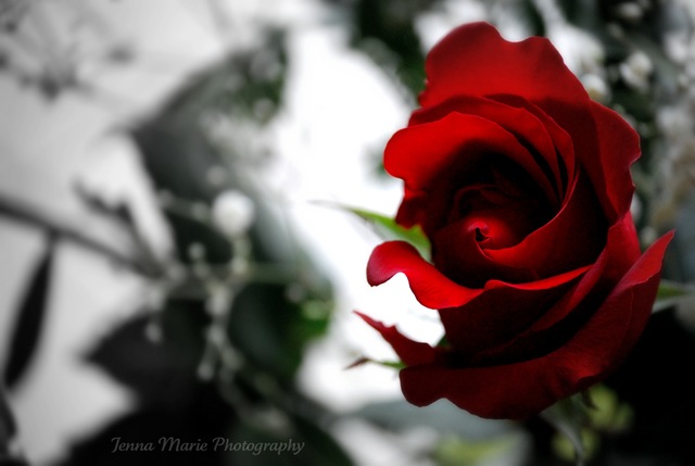 [DSC_0329%255B4%255D.jpg]