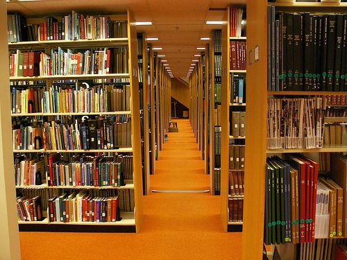 [library%2520shelves%255B2%255D.jpg]