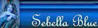 signature (1) signature (1)