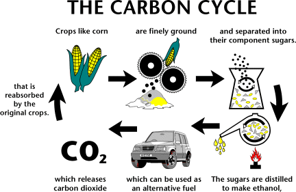 [re_biodiesel_carboncycle4.gif]