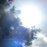 Albumomslag van Eclips 2008