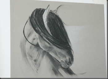 Sketch 5