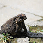 IMG_9645.JPG