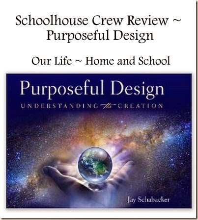 Purposeful Design ~ Book Review Purposeful Design ~ Book Review