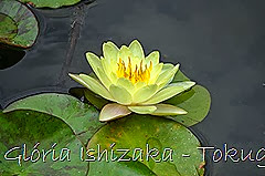10-Glória Ishizaka - Tokugawaen - Nagoya - Jp