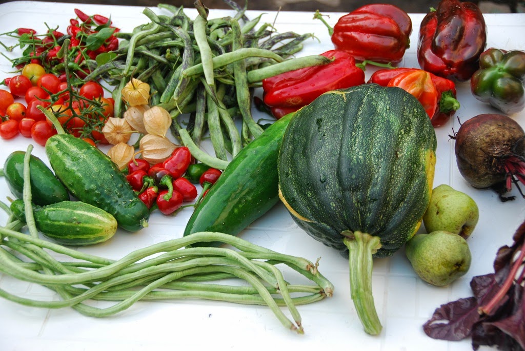 [DSC_0287%255B5%255D.jpg]