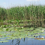 IMG_7628.JPG