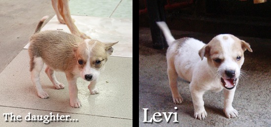 Baby photo of Levi with a photo of his daughter...