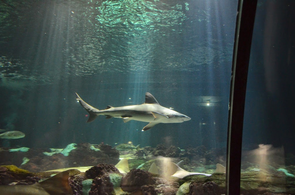 [DSC_8468%255B3%255D.jpg]