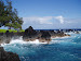 Laupahoehoe Point, 3 min walk from our retreat