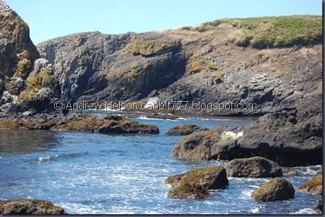 DSC_0733 DSC_0733