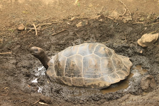 [IMG_9980%255B5%255D.jpg]