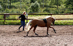 Tömkörning 15 juli 2011