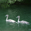 dsc04293.jpg