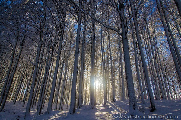 paisagens-de-inverno-winter-landscapes-desbaratinando (13)