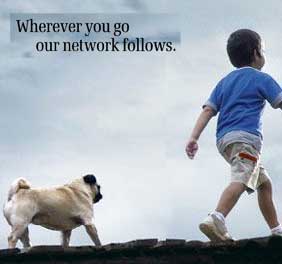 Never love your company, love your job, you never know when your company stops loving you