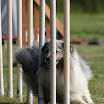 IMG_9825.JPG
