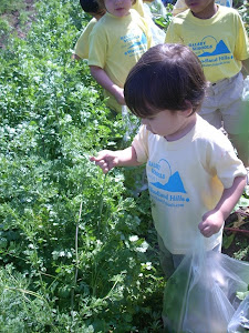 Picking whatever will fit in the bag!