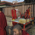 DSC_7944.jpg