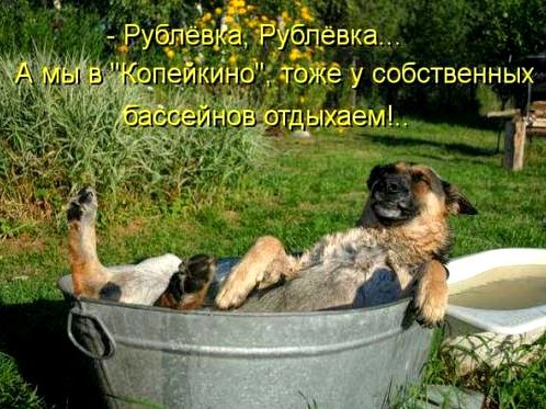 [3a54240fb7cb284f3e6c8212b59_prev%255B11%255D.jpg]