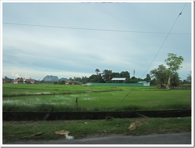 IMG_0642 IMG_0642