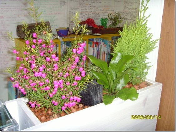 Gallery3956_7 Gallery3956_7