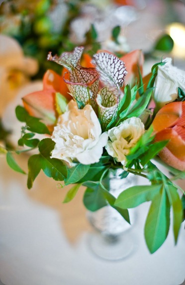 101030_a&a_00557_Small flowerwild 101030_a&a_00557_Small flowerwild