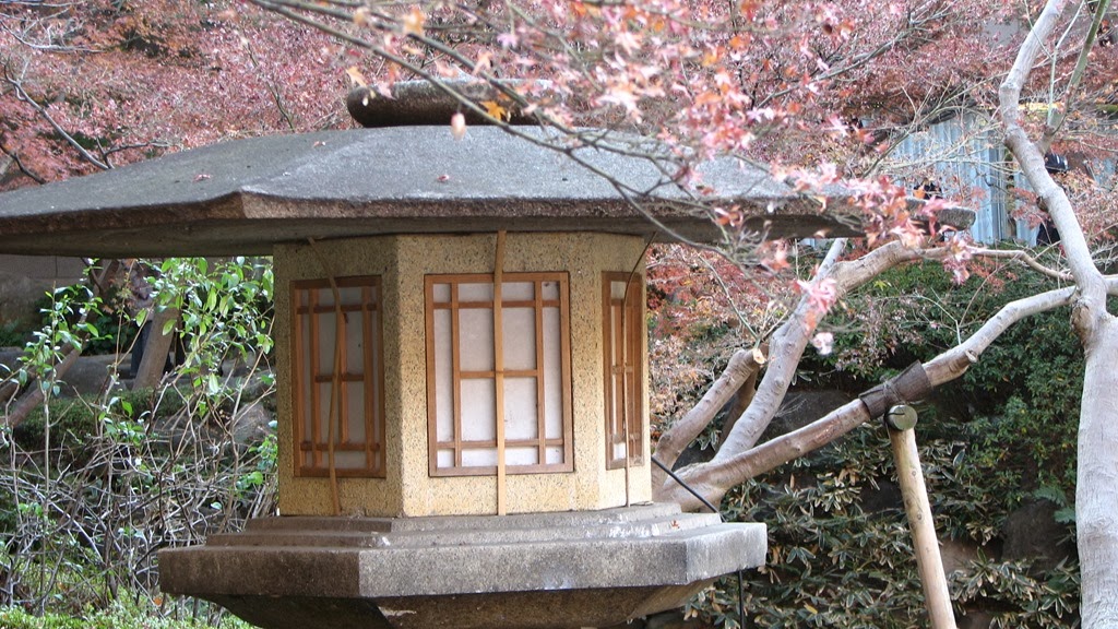 [IMG_4117%255B3%255D.jpg]