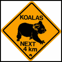 rs_koala-g[1]