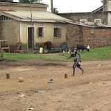 Kampala - Munyonyo sur le lac victoria (7).JPG